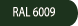 RAL 6009 COLOR_RAL-6009.png